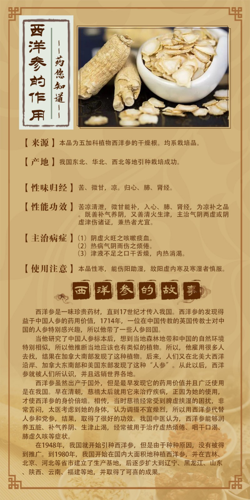 西洋參.jpg