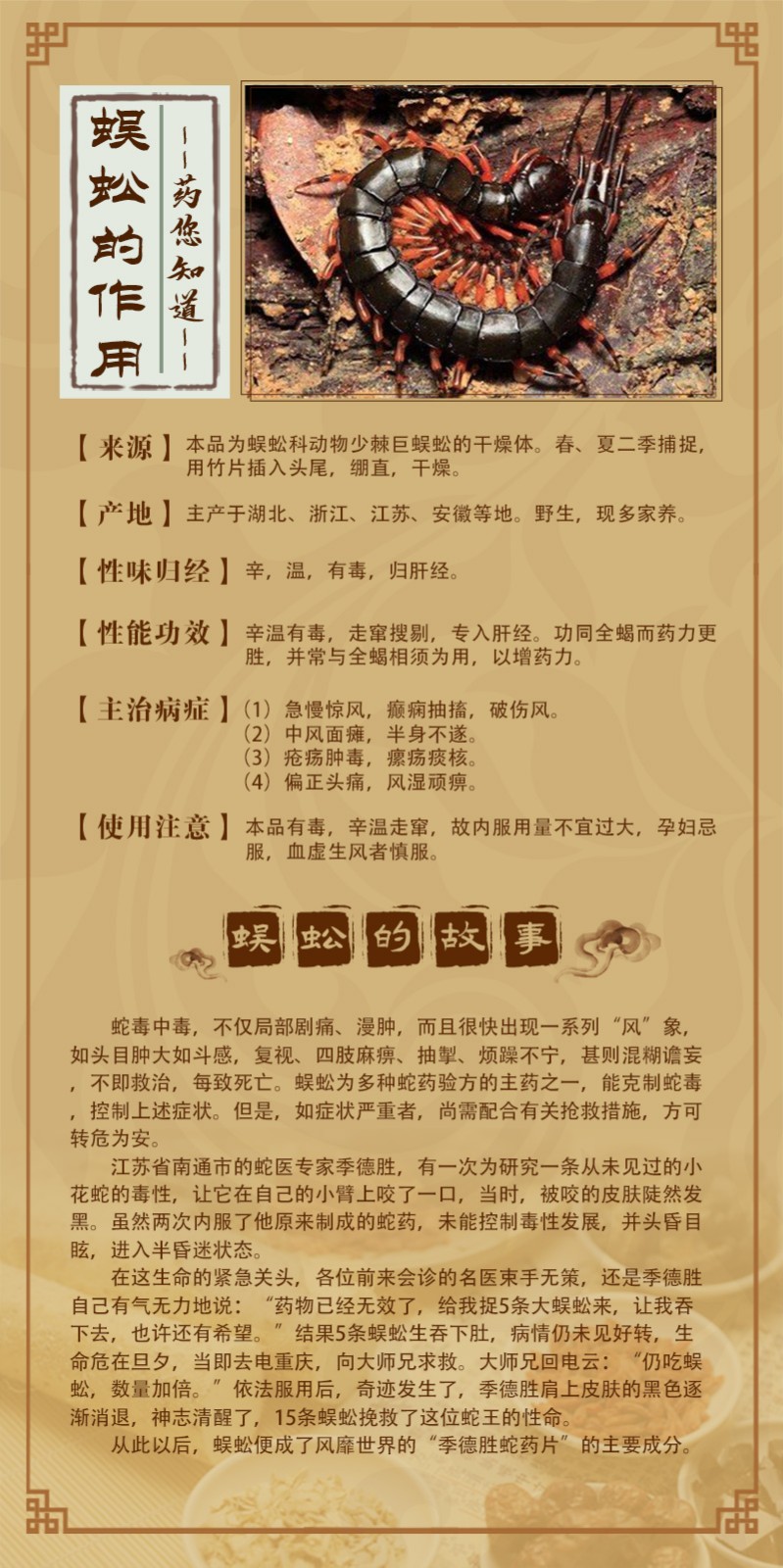 蜈蚣.jpg