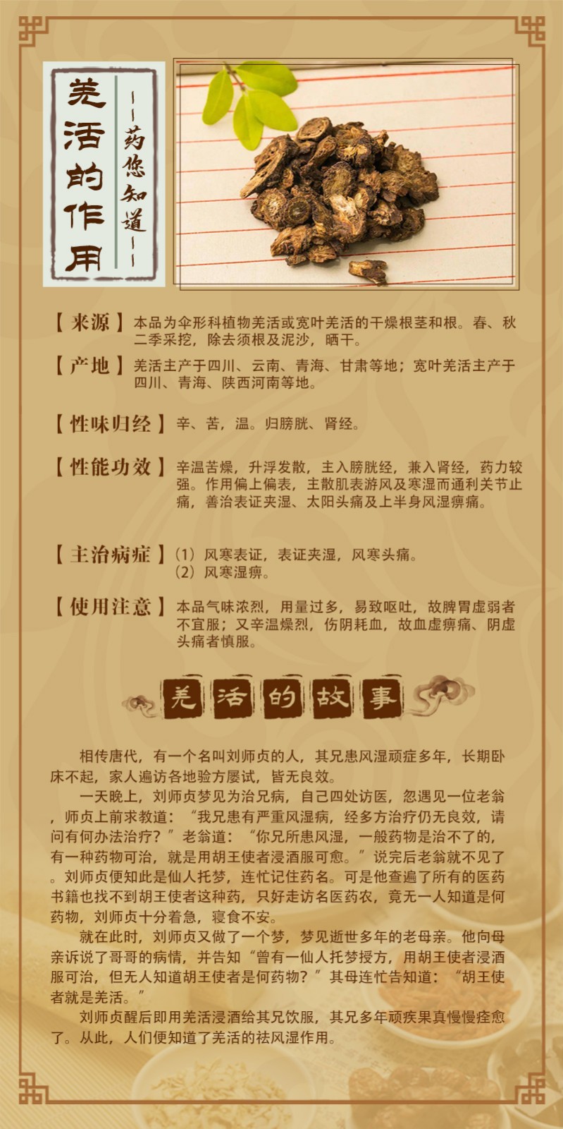 羌活.jpg