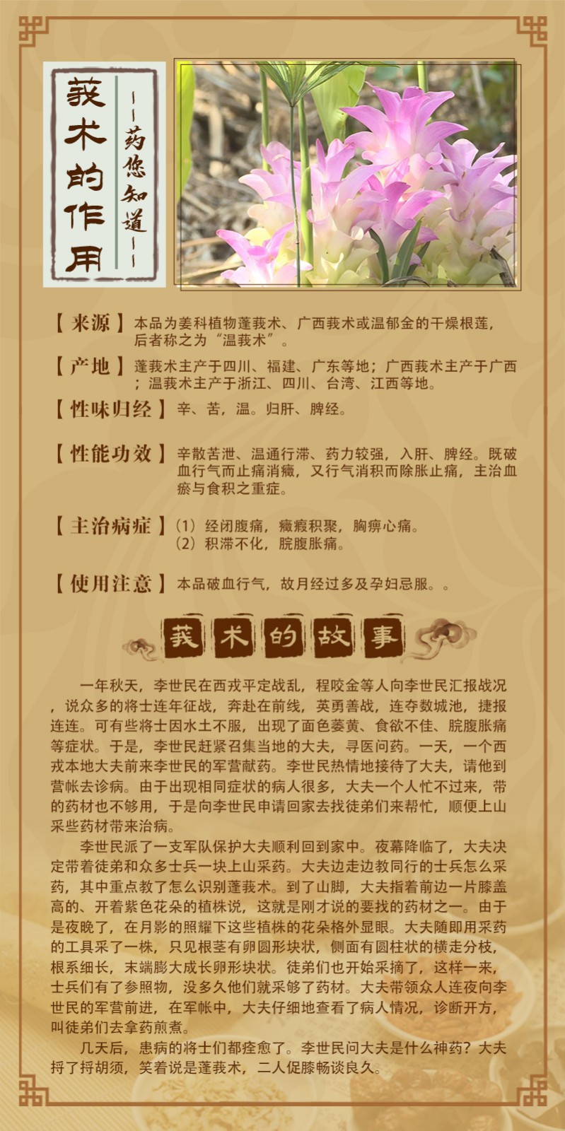 莪術(shù).jpg