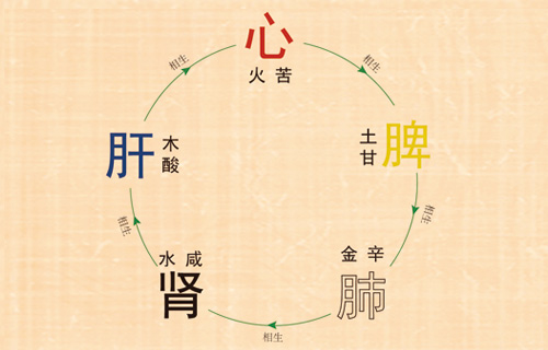 中醫(yī)理論館之陰陽五行