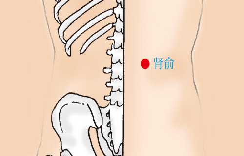 中醫(yī)經(jīng)絡(luò)館之常用穴位